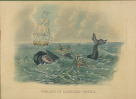 Appraisal: Whaling in American Waters aquatint th century x Framed