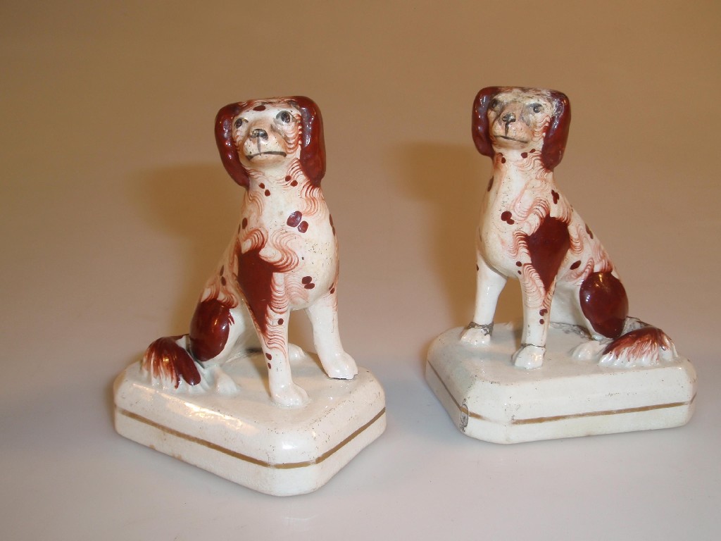 Appraisal: A pair of thC pottery seated spaniels with iron red