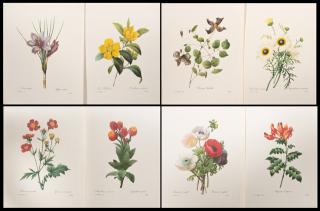 Appraisal: Pierre-Joseph Redoute - Colored Floral Prints th c app pieces