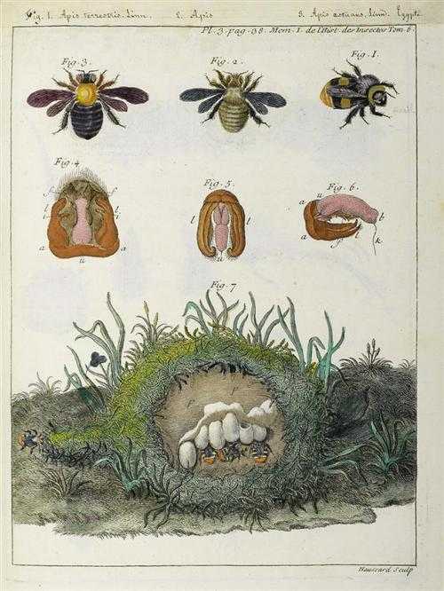 Appraisal: MEDECINE - HIPPOCRATES - SOMNAMBULISM - OPHTALMOLOGY Collection of three