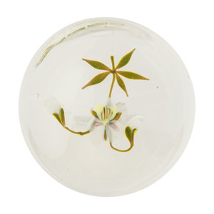 Appraisal: A White Flower with Two Buds Botanical Glass Paperweight Attributed