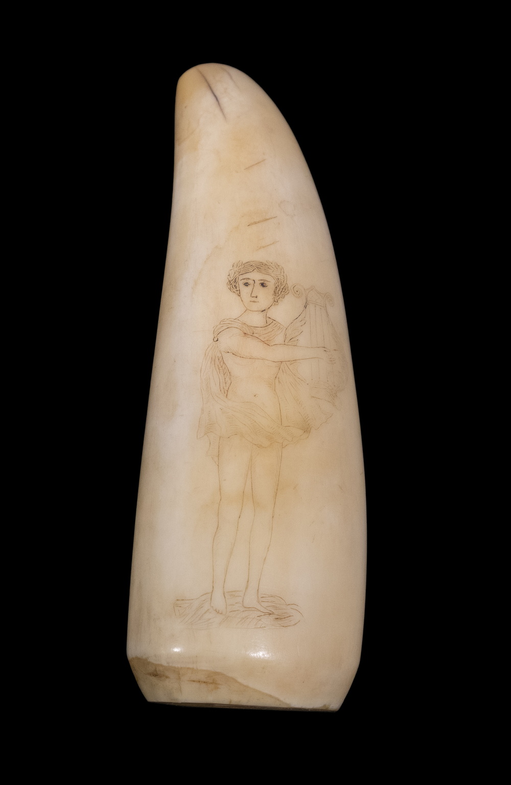 Appraisal: TH C SCRIMSHAW WHALE'S TOOTH Delicately rendered having a Young