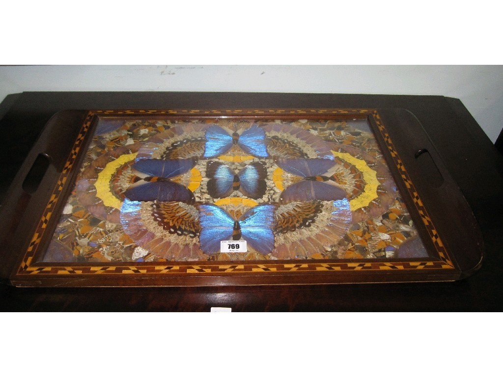 Appraisal: Butterfly wing tray