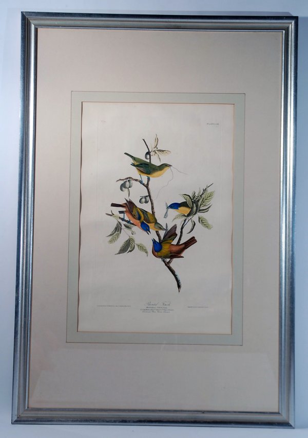 Appraisal: Painted Finch hand colored etching and aquatint engraved printed and