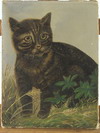 Appraisal: OOC - Primitive portrait of a tabby cat ca unsigned