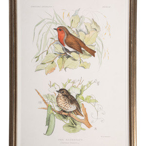 Appraisal: Eight Framed Avian Prints including Gould Richter J Curtis Bevalet