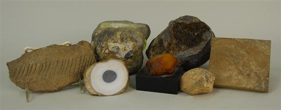 Appraisal: COLLECTION OF PRE HISTORIC ITEMS including bone fragments diameters inches