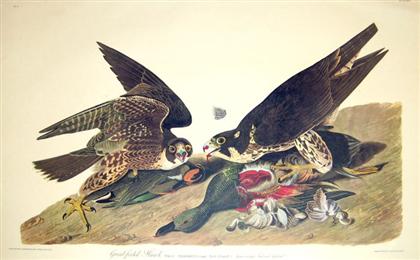 Appraisal: Audubon John James The Birds of America New York Amsterdam