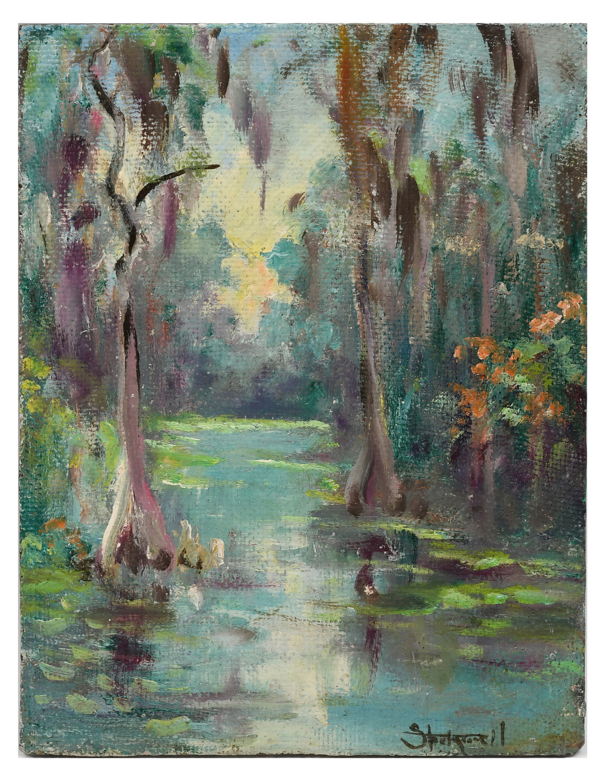 Appraisal: STOCKWELL Catherine Haynes American - Florida Cypress Swamp Oil Masonite