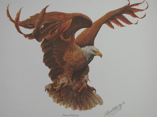 Appraisal: Group of limited edition wildlife prints including Robert O Bailey