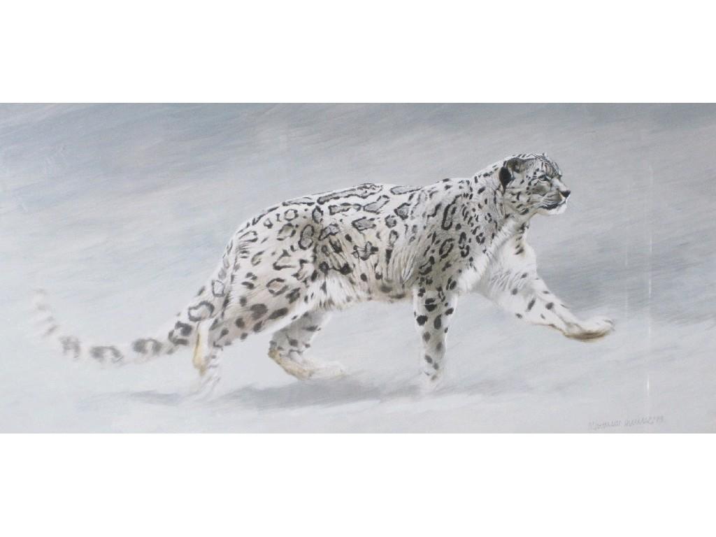 Appraisal: MATTHEW HILLIER b A Snow Leopard on the Movesigned and