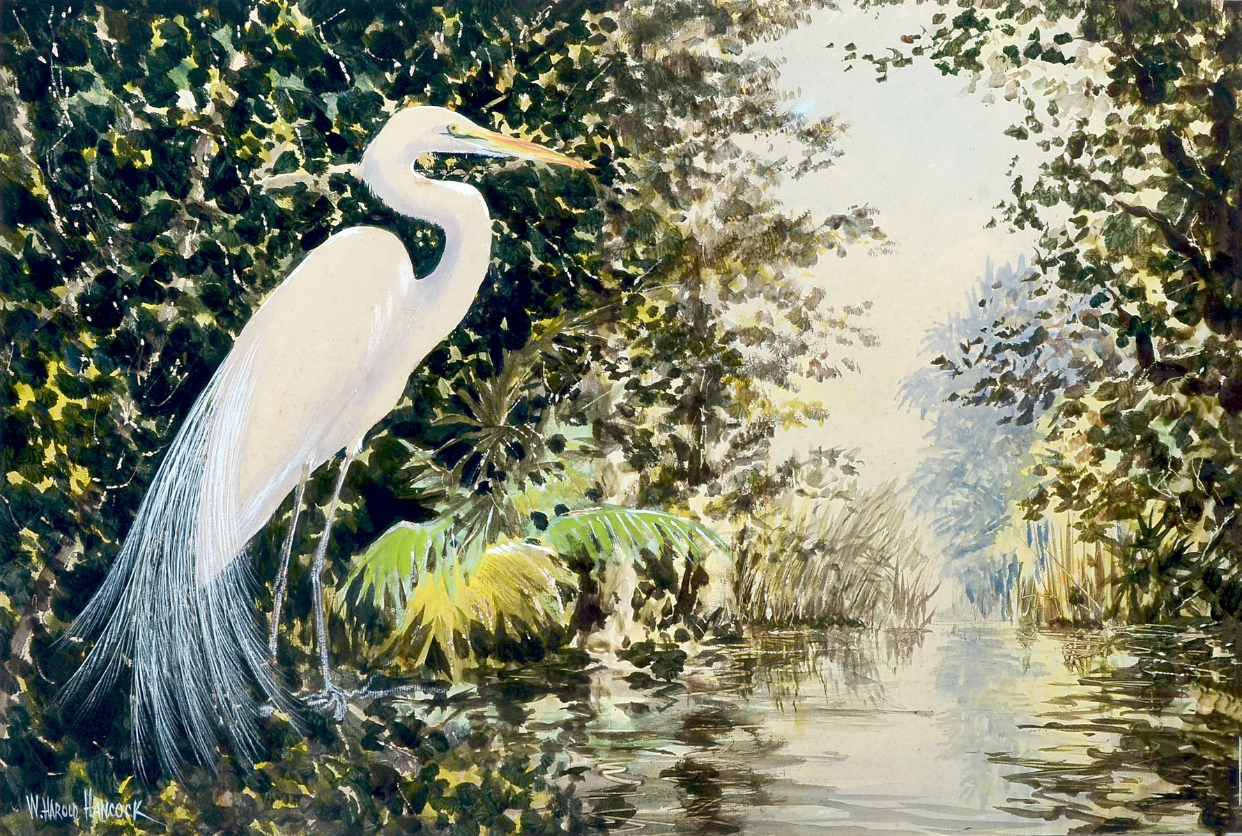 Appraisal: HANCOCK W Harold American - Heron Standing in a Stream