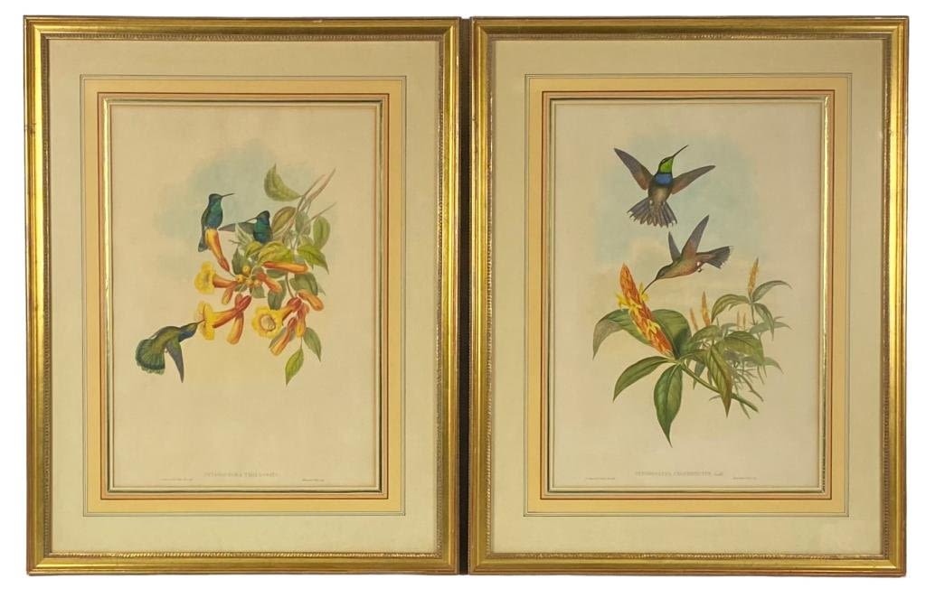 Appraisal: J Gould H C Richter Hand ColoredLithographs Hummingbirds Frame x