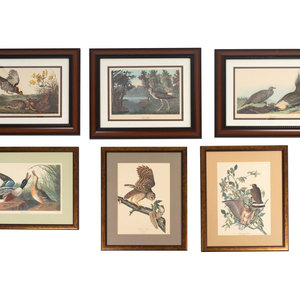 Appraisal: After John James Audubon Thirteen Birds of America Prints and