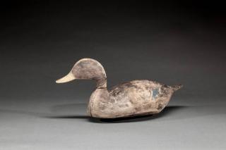 Appraisal: Black Duck Lloyd J Tyler - Crisfield MDc A rare