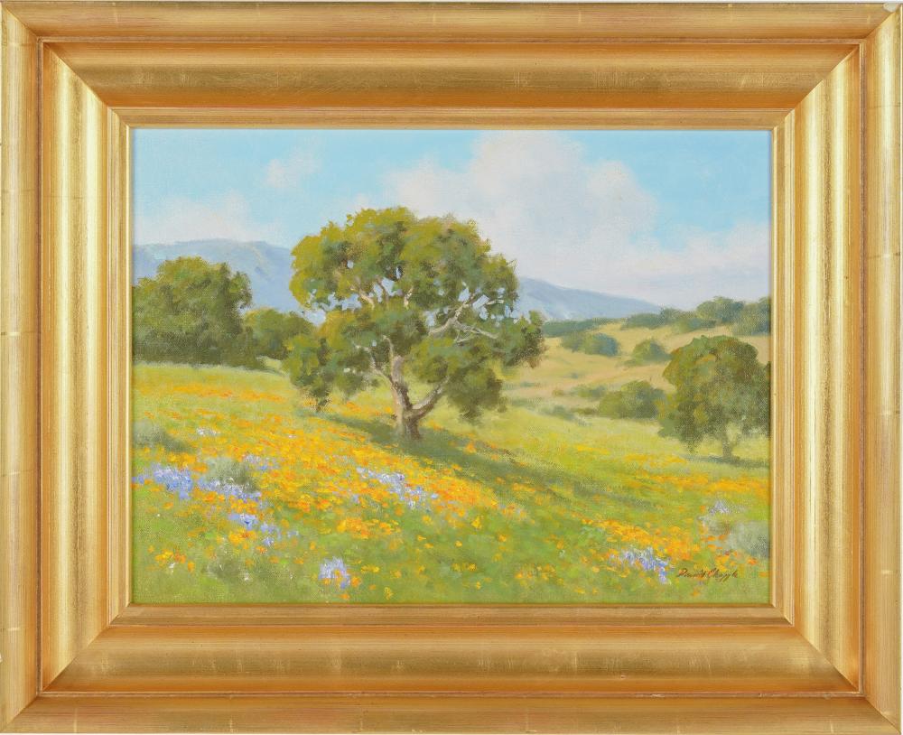 Appraisal: DAVID CHAPPLE B SPRING MEADOW oil on board signed lower