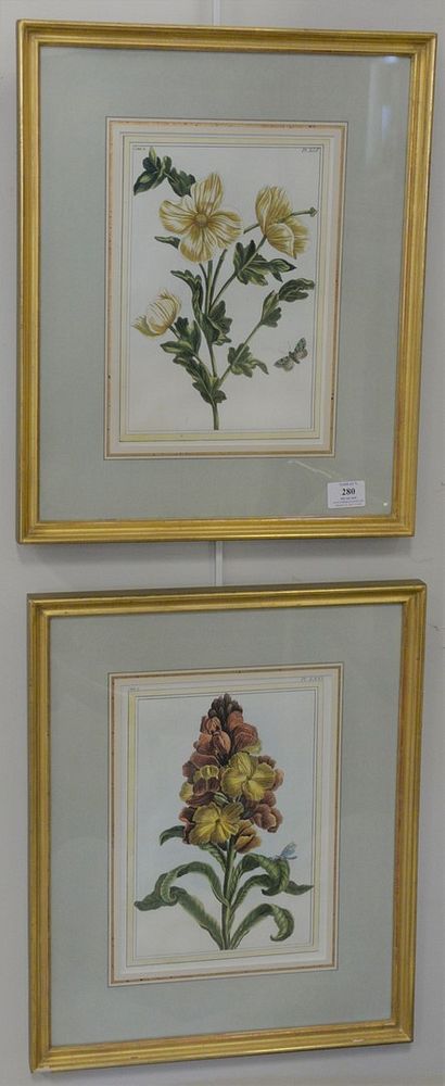 Appraisal: Pair of Pierre Joseph Buchoz - botanical hand colored engravings