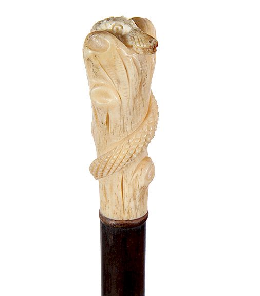 Appraisal: Bone Sea Creature Cane Ca - A carved bone handle