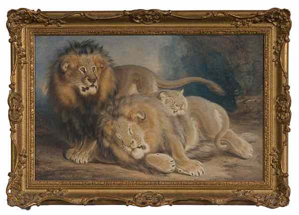 Appraisal: Lions by J M Burbank Watercolor J M Burbank British