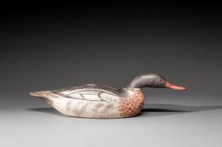 Appraisal: Swimming Merganser by A Elmer Crowell A Elmer Crowell -