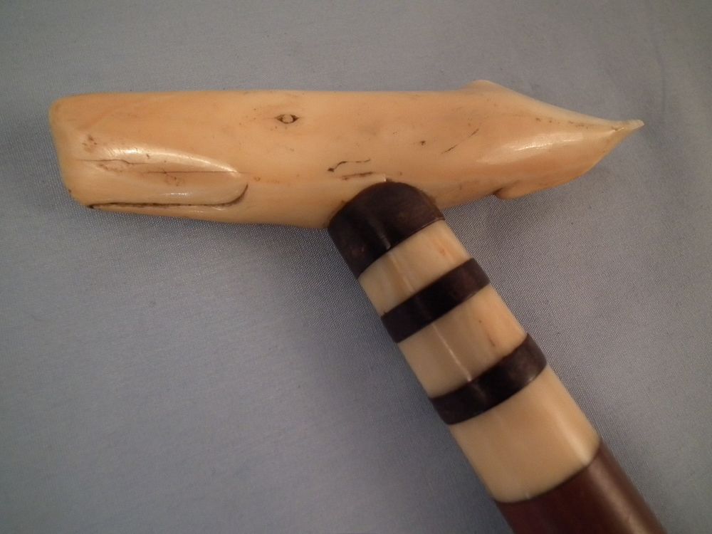 Appraisal: ANTIQUE WHALE HANDLED CANE Rare antique carved bone handled cane