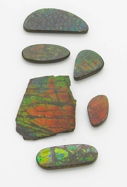 Appraisal: Group of Ammolite Cabochons Southern Alberta Canada Ammolite was first