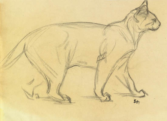 Appraisal: TH OPHILE STEINLEN Chat pied Pencil on cream wove paper