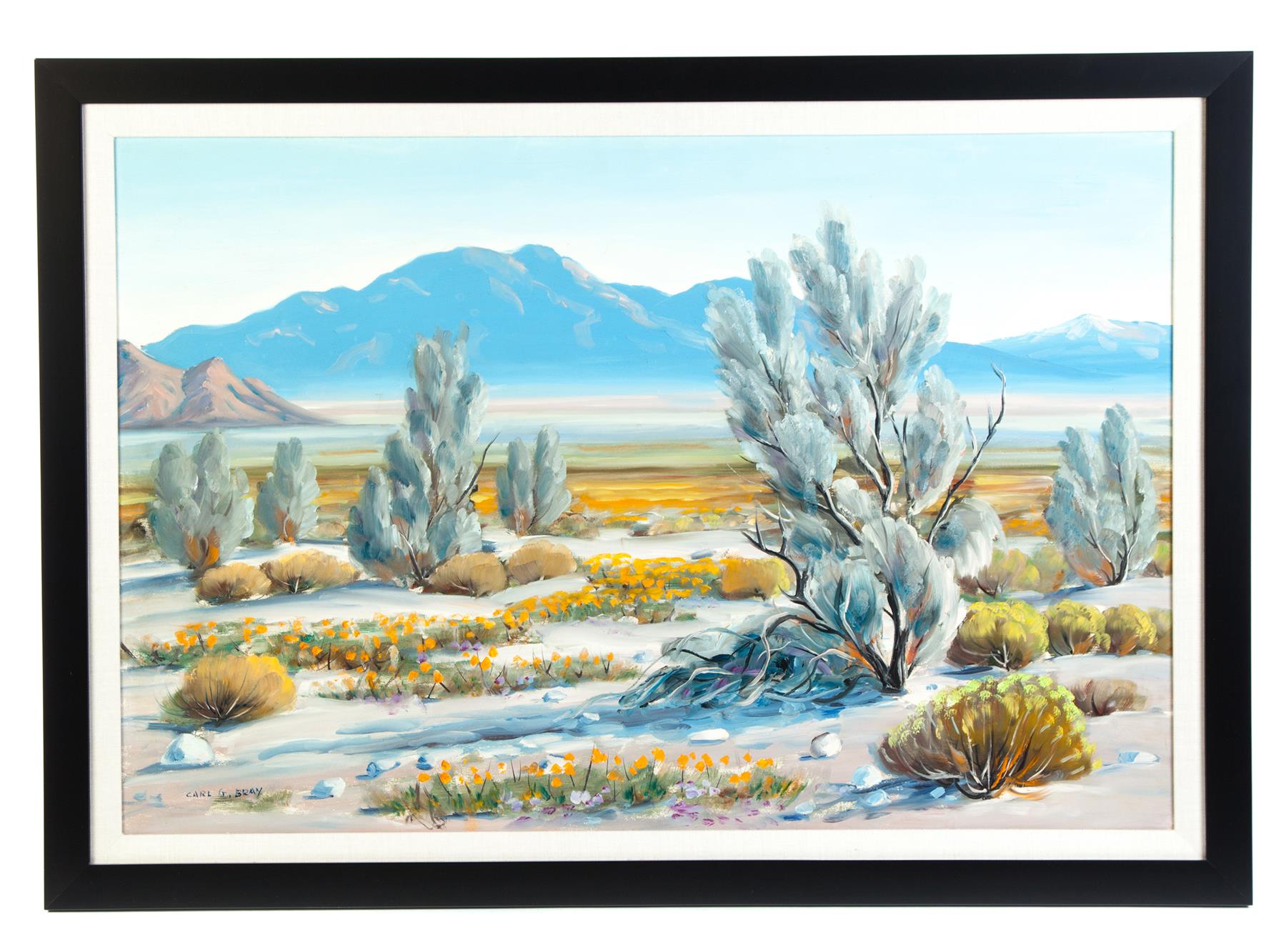 Appraisal: DESERT LANDSCAPE BY CARL GLEN BRAY OKLAHOMA CALIFORNIA - Oil