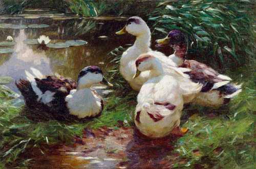 Appraisal: KOESTER ALEXANDER Bergneustadt - Munich Four ducks Oil on canvas