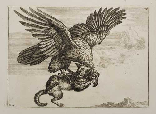 Appraisal: BARLOW FRANCIS Various Birds and Beasts Drawn from the Life