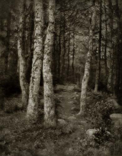 Appraisal: EICKEMEYER RUDOLF - Landscape Oversize sepia-toned silver print x inches