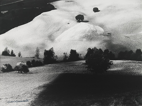 Appraisal: GIACOMELLI MARIO - Untitled from the Paesaggio series Silver print