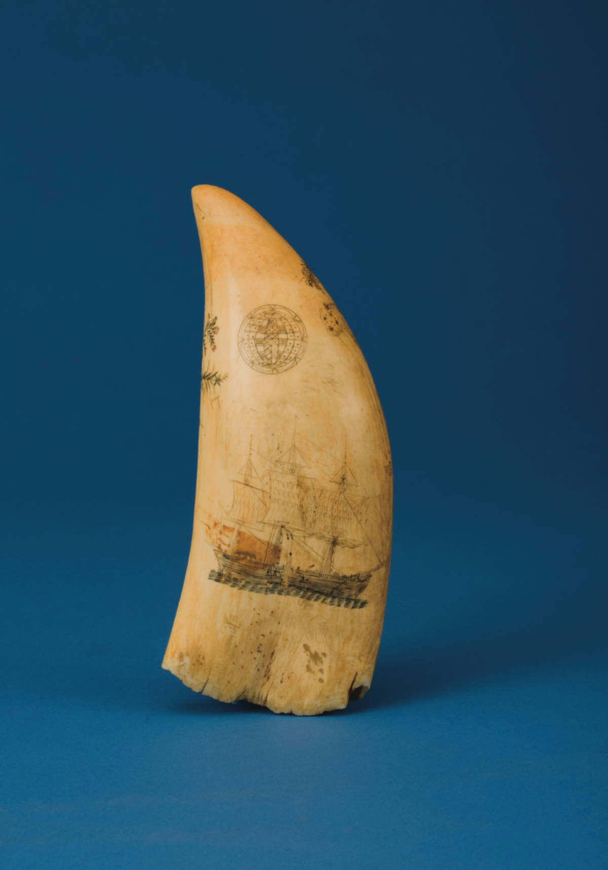 Appraisal: SCRIMSHAW AND POLYCHROME WHALE'S TOOTH DEPICTING A WHALING SCENE AND