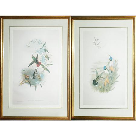 Appraisal: J Gould H C Richter HUMMINGBIRD STUDIES Two color photoreproductions