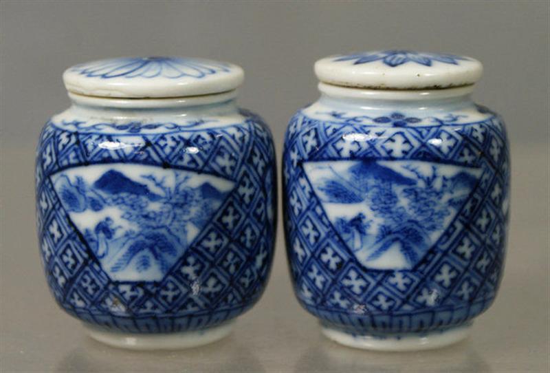 Appraisal: porcelain snuff or opium bottles with lids blue underglaze decoration