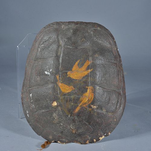 Appraisal: PAINTED TURTLE SHELLgreat paint and surface Early th century Condition