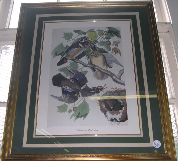 Appraisal: After John James Audubon American - Summer or Wood Duck