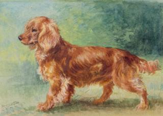 Appraisal: Cocker Spaniel by Henry Edmund Osthaus Henry Osthaus - Cocker