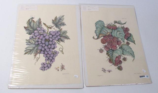 Appraisal: Two hand-colored etchings unframed depicting raspberries and grapes artist Mitra