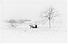 Appraisal: GEORGE A TICE - Winter scene Farmer plowing Together silver