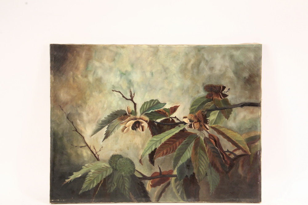 Appraisal: UNSIGNED PRIMITIVE PAINTING - A Study of Sweet Chestnut Seed