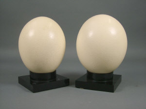 Appraisal: A pair of contemporary ostrich egg table lamps height cm