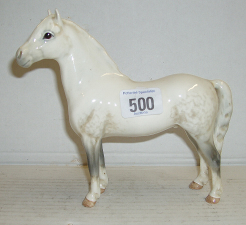 Appraisal: Welsh Mountain Pony Coed Coch Madog First Version