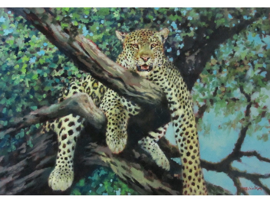 Appraisal: JOEL KIRK b Oil on board 'Leopard in a tree'