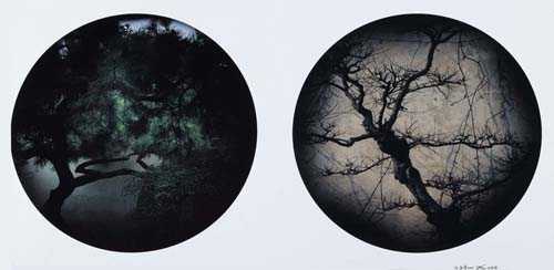 Appraisal: BAI GUANG HUA Jiangsu Potted Landscape chromogenic print x cm