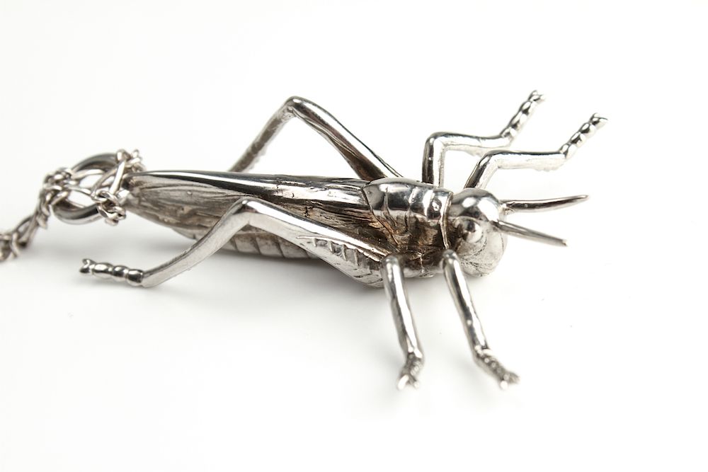 Appraisal: Sterling Silver Grasshopper Pendant Necklace Sterling silver grasshopper pendant marked