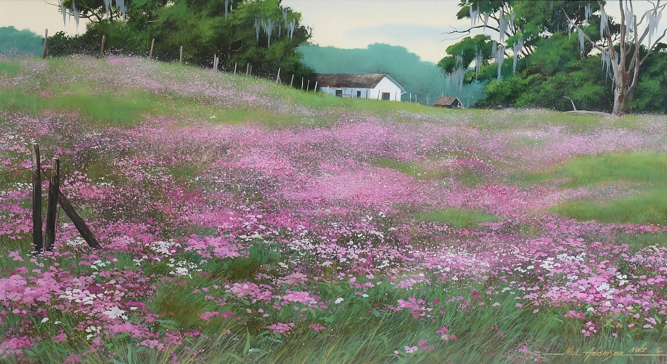 Appraisal: ADAMSON Neil American ''Wild Phlox North Florida'' Acrylic sight size