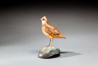 Appraisal: Bobwhite Quail by A Elmer Crowell A Elmer Crowell -