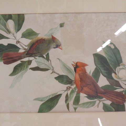 Appraisal: Print of Cardinals male and female image area x