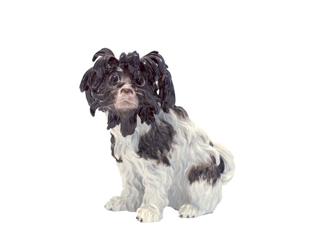 Appraisal: A Meissen figure of a Bolognese spaniel late th century